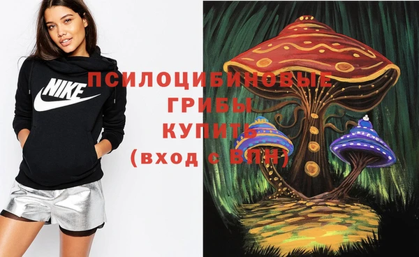 МДПВ Михайловка