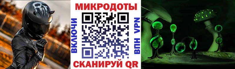купить наркотик  Покров  Галлюциногенные грибы Cubensis 
